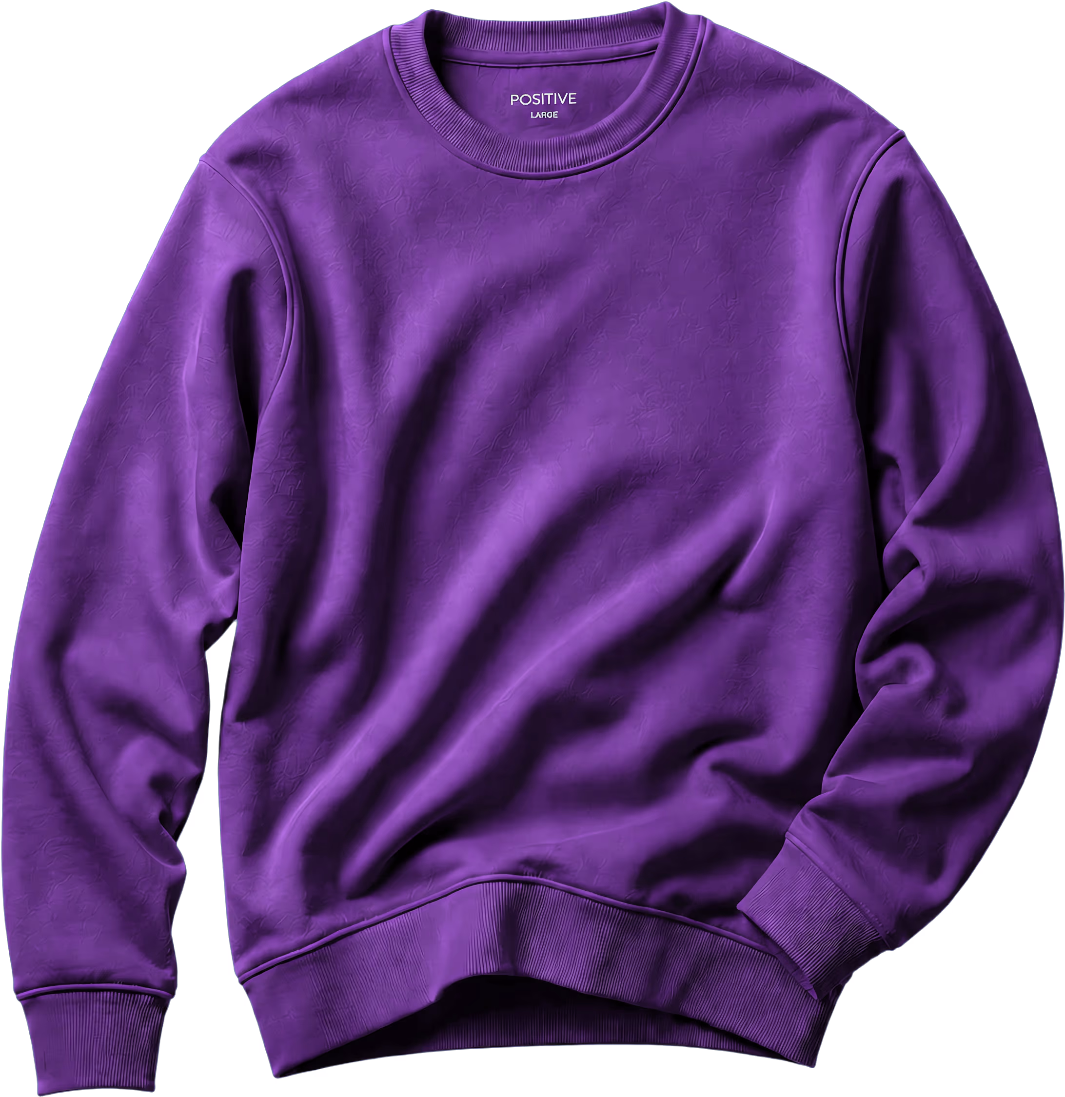 POSITIVE ORIGINALS Bisiklet Yaka Sweatshirt / Regular Kalıp
