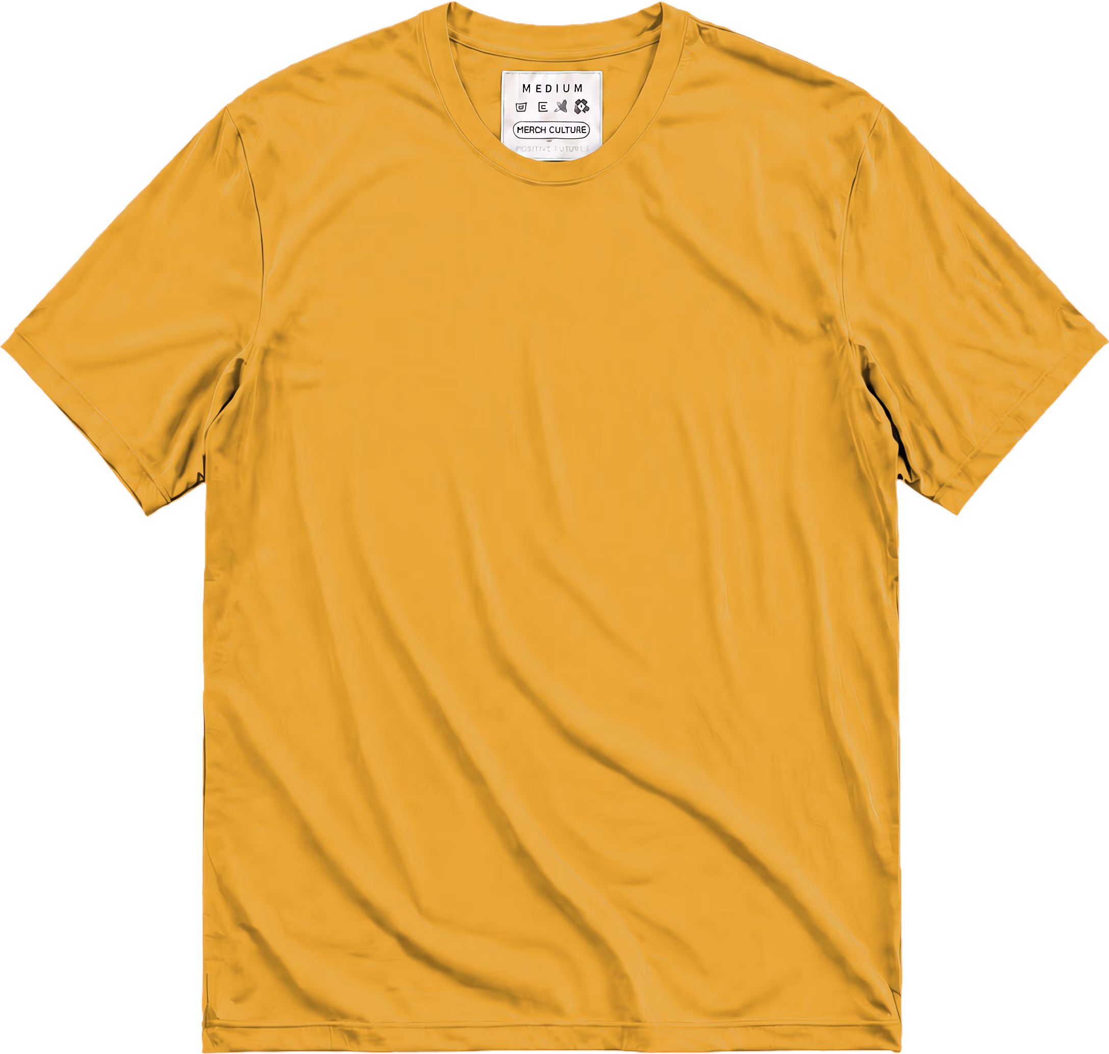 POSITIVE ORIGINALS Bisiklet Yaka T-Shirt / Regular Kalıp