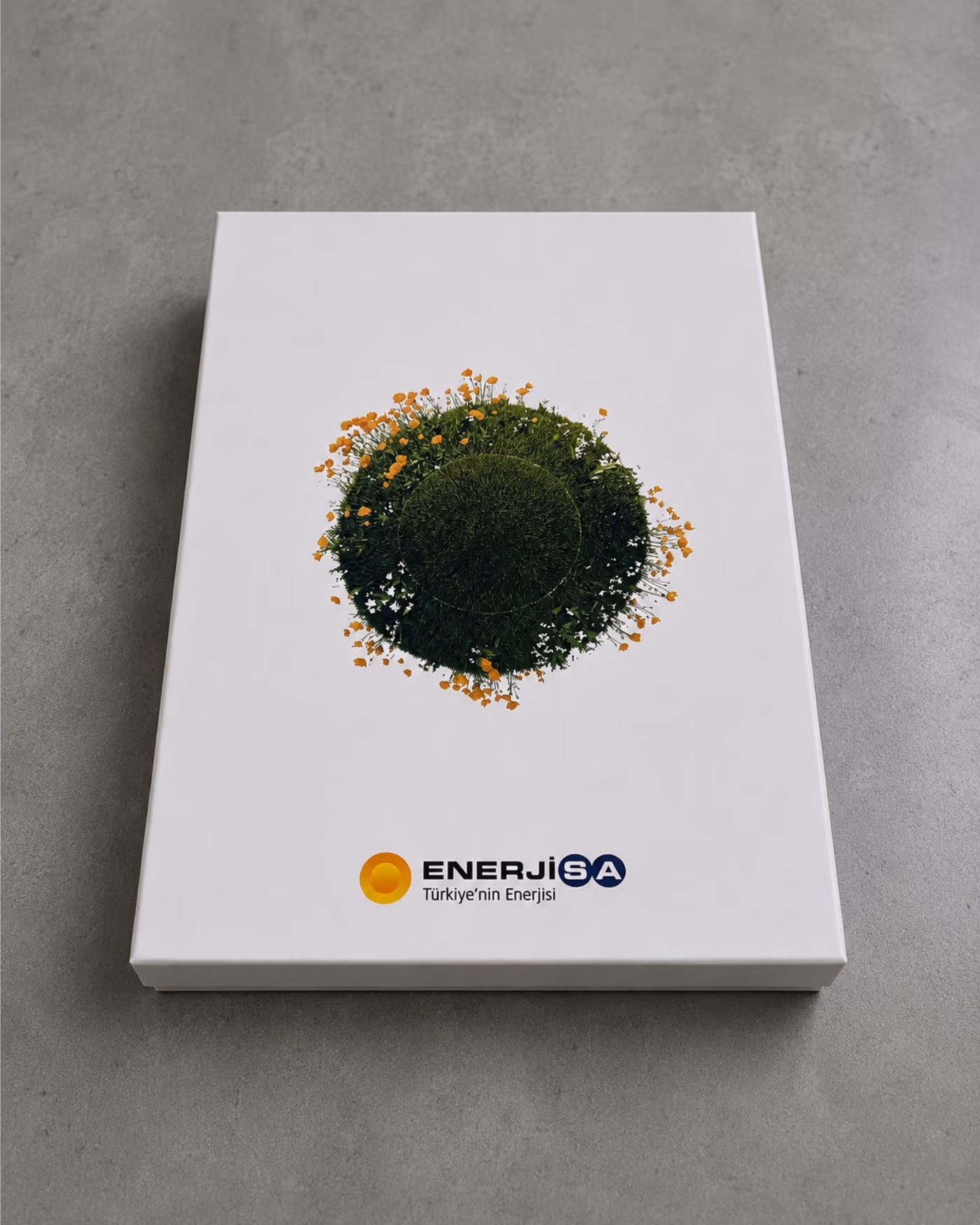 Enerjisa, görsel 3