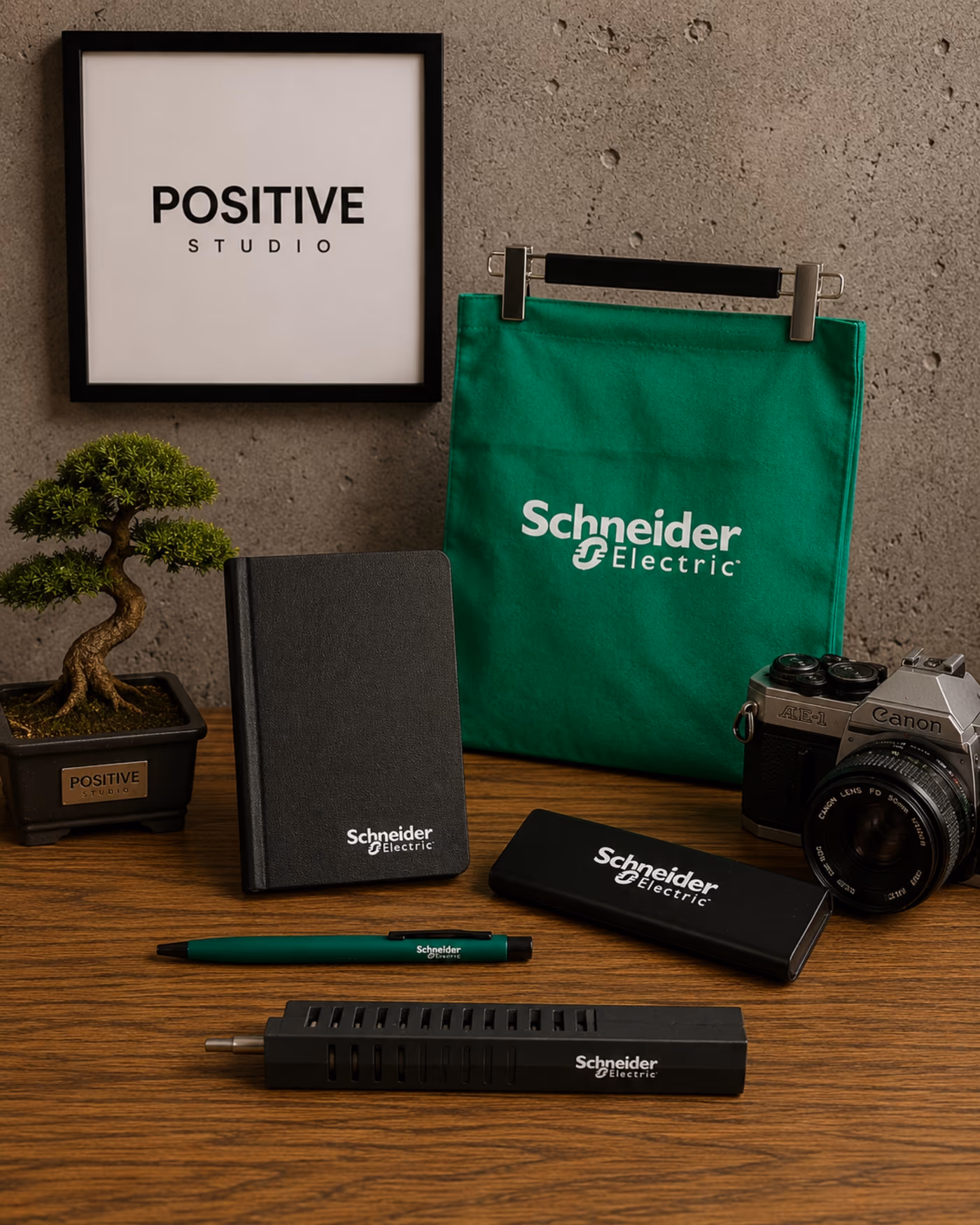 Schneider Electric, görsel 2