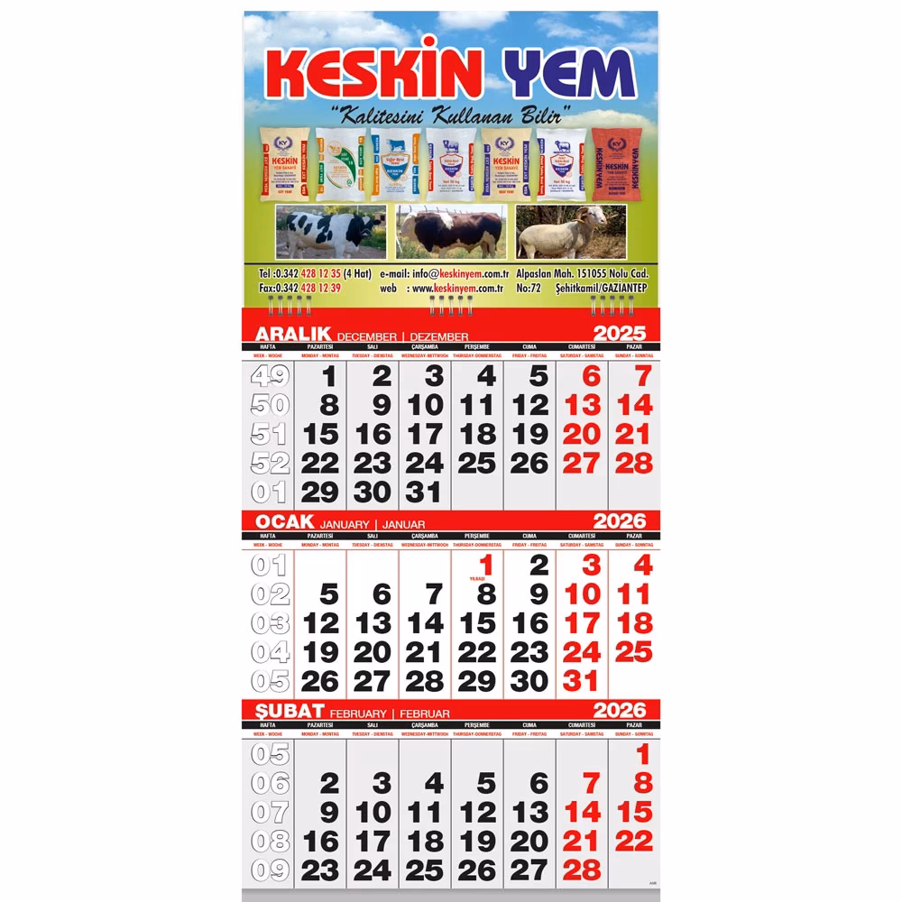 Ekonomik Küçük Boy Gemici Takvim - 31 x 63 cm