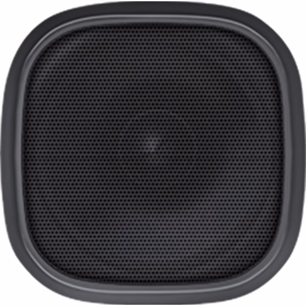 Speaker