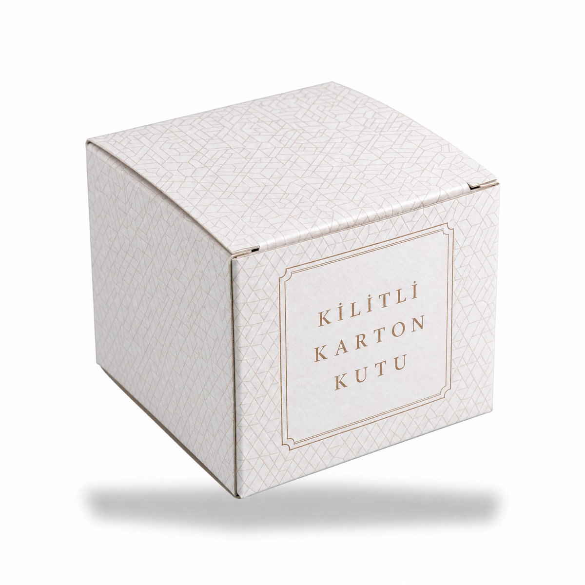 Kilitli Karton Kutu