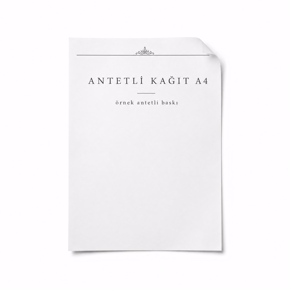 Antetli Kağıt A4